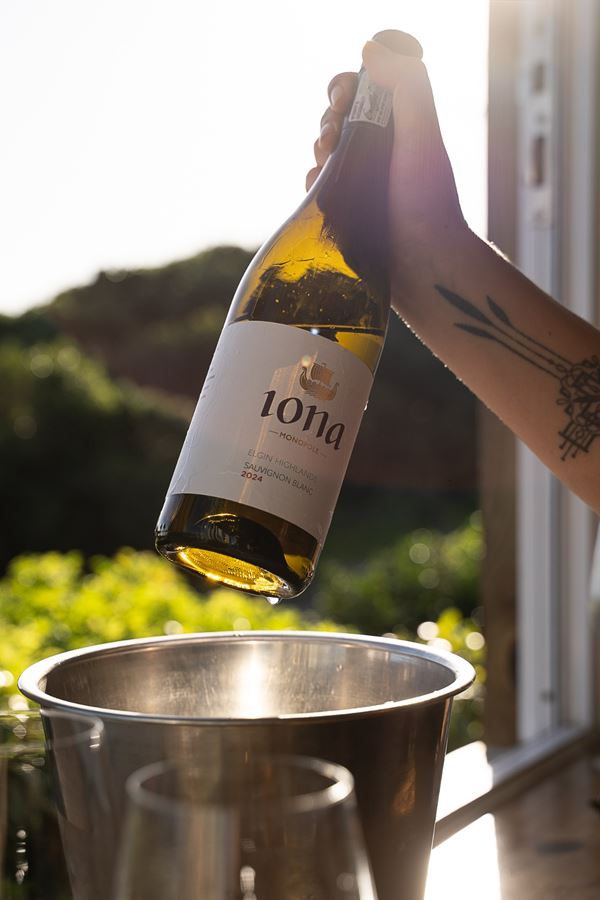 Pouring a bottle of Iona Sauvignon Blanc